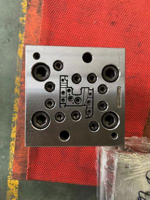 Stampo per profili in UPVC di dimensioni personalizzate in materiale 3CR17 per finestre e porte