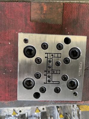 Linea di estrussione per stampi a telaio in UPVC a taglia personalizzata con lucidatura elettroplata