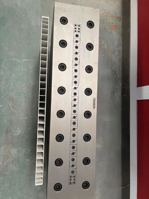 Capacità di stampaggio per estrussione personalizzabile 1 per il calibratore in PVC/testa di estrussione