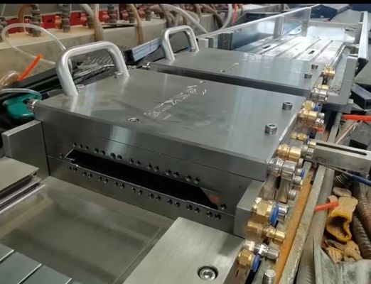 Strumenti di estrussione di stampi per pavimenti e pannelli murali in PE progettati per AutoCAD