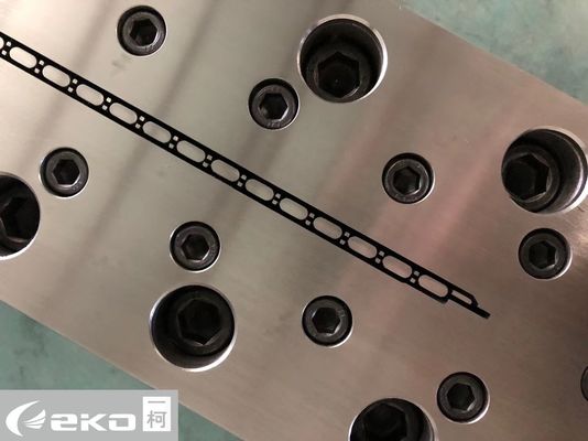 Dimensione del cliente Stampo per prodotti domestici per reticolo cavo e piastre per porte personalizzate