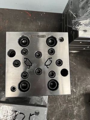 1 Stampo di profilo UPVC per cavità e perlinea di vetro per coperture di porte di finestre