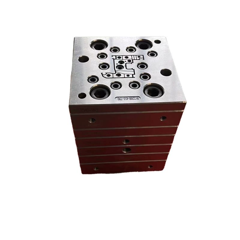Stampo per profili in UPVC di dimensioni personalizzate in materiale 3CR17 per finestre e porte